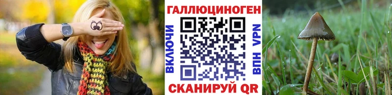 Галлюциногенные грибы GOLDEN TEACHER  omg   Заинск  цена наркотик 