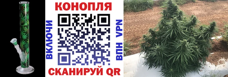 мориарти формула  Заинск  Канабис планчик 